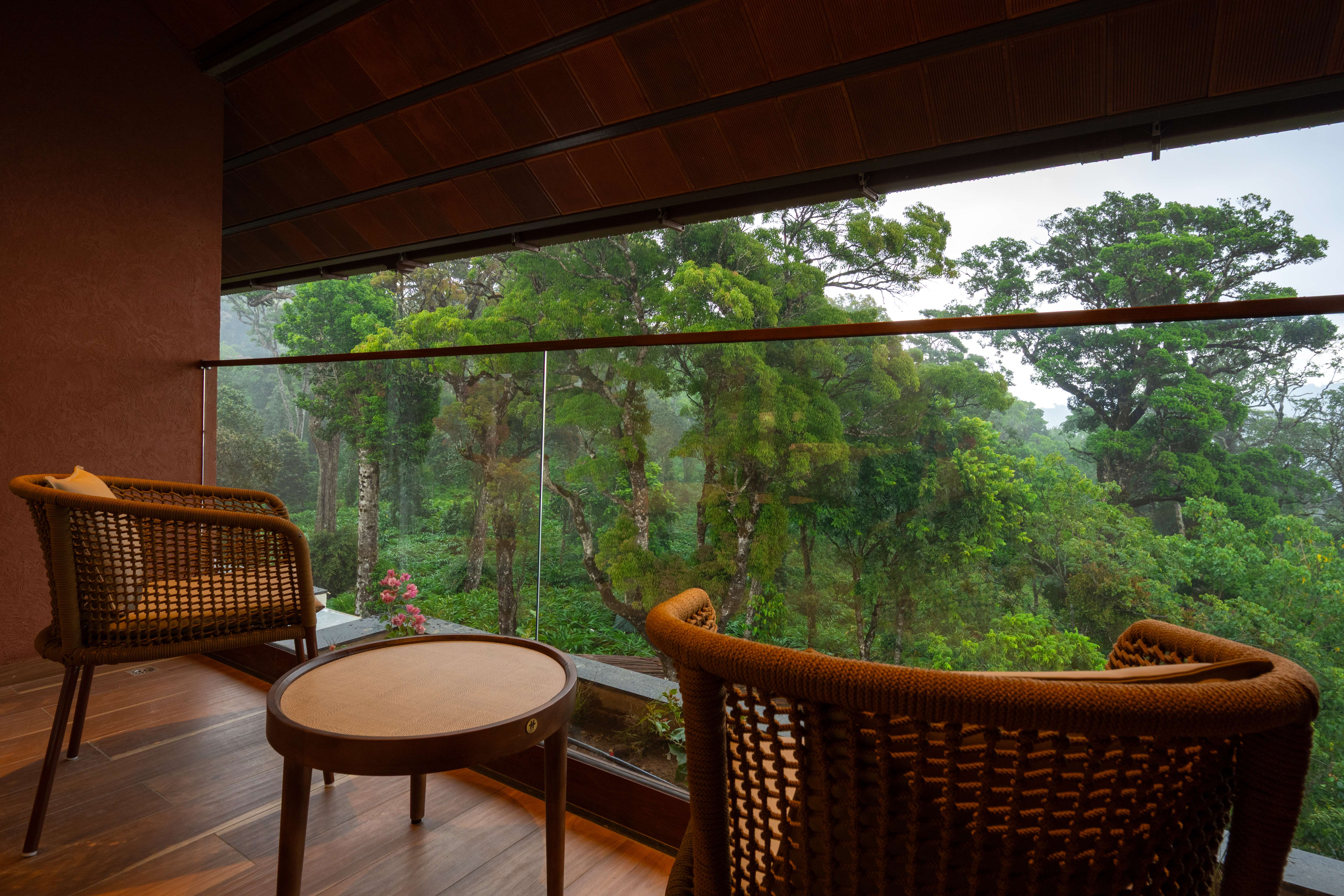 Olive Woods Munnar – nature pathway through greenery